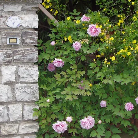 Bed & Breakfast Il Glicine *