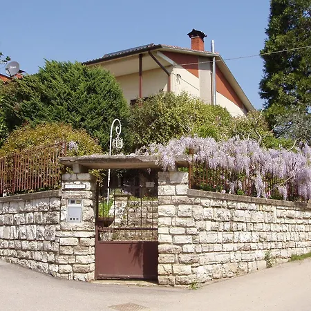 Il Glicine